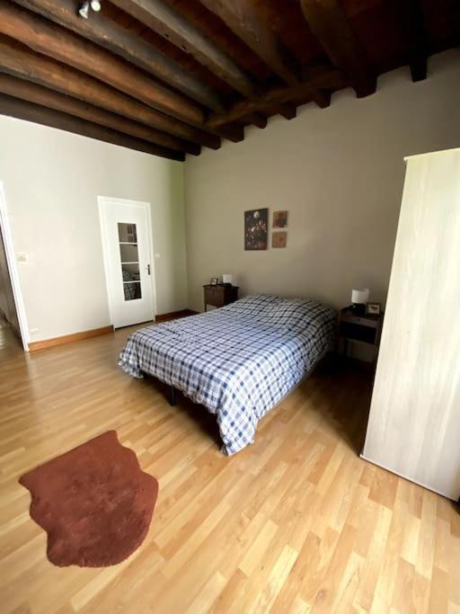 L'escapade Blesoise - Hyper Centre Apartment